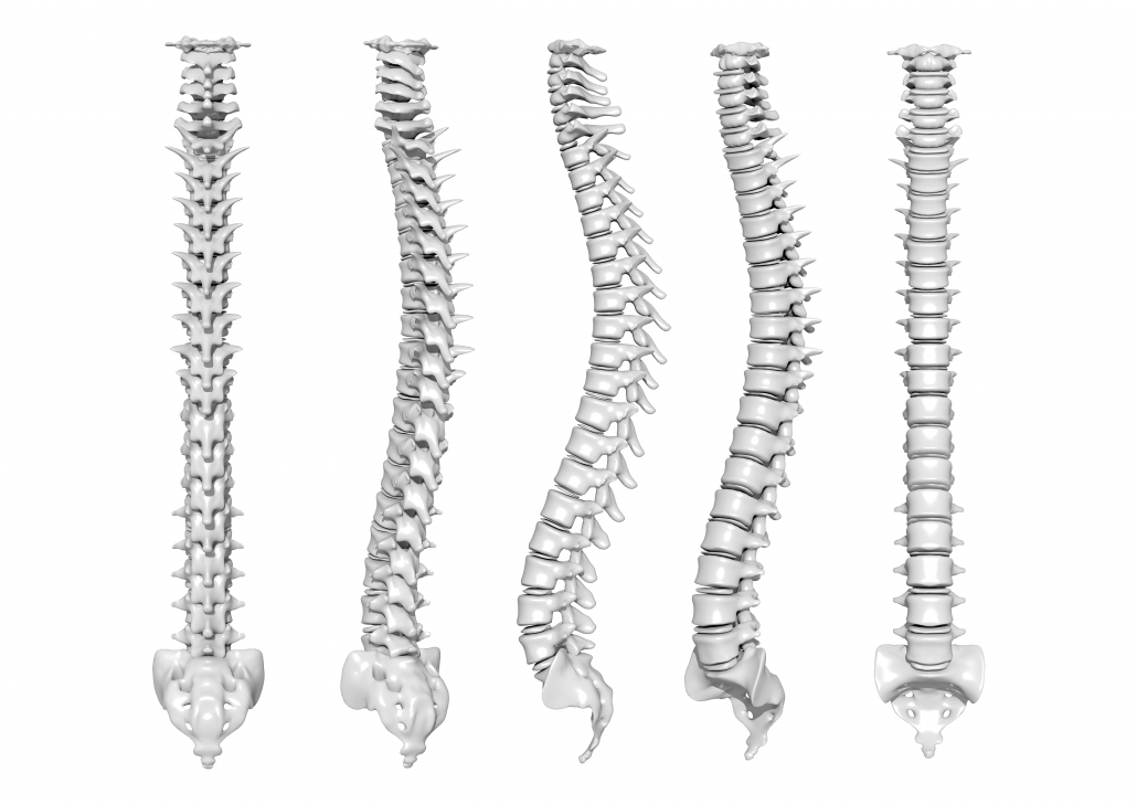 podiatry, feet, spine