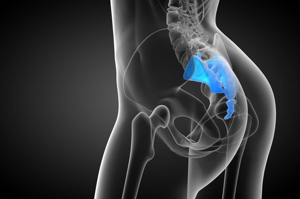 Image of hip structures that could cause pain.